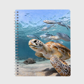 Тетрадь с принтом Морская черепаха в Белгороде, 100% бумага | 48 листов, плотность листов — 60 г/м2, плотность картонной обложки — 250 г/м2. Листы скреплены сбоку удобной пружинной спиралью. Уголки страниц и обложки скругленные. Цвет линий — светло-серый
 | море | морская | океан | подводный мир | рыбы | черепаха