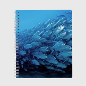 Тетрадь с принтом Морские рыбы в Белгороде, 100% бумага | 48 листов, плотность листов — 60 г/м2, плотность картонной обложки — 250 г/м2. Листы скреплены сбоку удобной пружинной спиралью. Уголки страниц и обложки скругленные. Цвет линий — светло-серый
 | косяк | море | океан | подводный мир | рыбки | рыбы