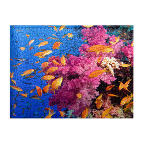 Обложка для студенческого билета с принтом Коралловые рыбки в Белгороде, натуральная кожа | Размер: 11*8 см; Печать на всей внешней стороне | Тематика изображения на принте: коралловые | море | океан | подводный мир | рифы | рыбки | рыбы