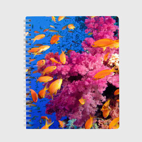Тетрадь с принтом Коралловые рыбки в Белгороде, 100% бумага | 48 листов, плотность листов — 60 г/м2, плотность картонной обложки — 250 г/м2. Листы скреплены сбоку удобной пружинной спиралью. Уголки страниц и обложки скругленные. Цвет линий — светло-серый
 | коралловые | море | океан | подводный мир | рифы | рыбки | рыбы