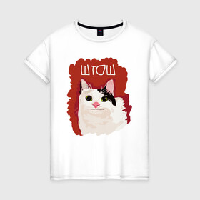 Женская футболка хлопок с принтом котик ШТОШ в Белгороде, 100% хлопок | прямой крой, круглый вырез горловины, длина до линии бедер, слегка спущенное плечо | кот | меме | прикол | штош | юмор