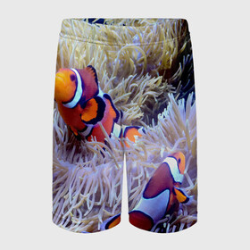 Детские спортивные шорты 3D с принтом Клоуны в актинии в Белгороде,  100% полиэстер
 | пояс оформлен широкой мягкой резинкой, ткань тянется
 | Тематика изображения на принте: актиния | клоуны | коралловые | море | подводный мир | рыбки