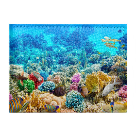 Обложка для студенческого билета с принтом Риф в Белгороде, натуральная кожа | Размер: 11*8 см; Печать на всей внешней стороне | Тематика изображения на принте: коралловый риф | полосатые рыбы | риф | рыбы | сказочный риф