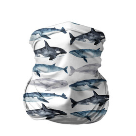 Бандана-труба 3D с принтом киты в Белгороде, 100% полиэстер, ткань с особыми свойствами — Activecool | плотность 150‒180 г/м2; хорошо тянется, но сохраняет форму | ocean | sea | касатки | киты | море | морские мотивы | морской принт | морской фон | океан | паттерн | рыбы | текстуры