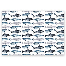 Поздравительная открытка с принтом киты в Белгороде, 100% бумага | плотность бумаги 280 г/м2, матовая, на обратной стороне линовка и место для марки
 | ocean | sea | касатки | киты | море | морские мотивы | морской принт | морской фон | океан | паттерн | рыбы | текстуры