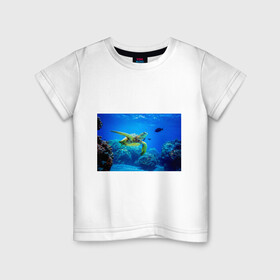Детская футболка хлопок с принтом Морская черепаха в Белгороде, 100% хлопок | круглый вырез горловины, полуприлегающий силуэт, длина до линии бедер | Тематика изображения на принте: морская черепаха | океан | подводный мир | черепаха