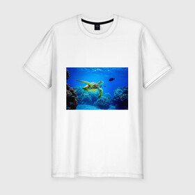 Мужская футболка хлопок Slim с принтом Морская черепаха в Белгороде, 92% хлопок, 8% лайкра | приталенный силуэт, круглый вырез ворота, длина до линии бедра, короткий рукав | Тематика изображения на принте: морская черепаха | океан | подводный мир | черепаха