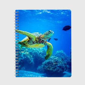 Тетрадь с принтом Морская черепаха в Белгороде, 100% бумага | 48 листов, плотность листов — 60 г/м2, плотность картонной обложки — 250 г/м2. Листы скреплены сбоку удобной пружинной спиралью. Уголки страниц и обложки скругленные. Цвет линий — светло-серый
 | морская черепаха | океан | подводный мир | черепаха