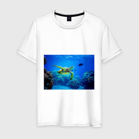 Мужская футболка хлопок с принтом Морская черепаха в Белгороде, 100% хлопок | прямой крой, круглый вырез горловины, длина до линии бедер, слегка спущенное плечо. | Тематика изображения на принте: морская черепаха | океан | подводный мир | черепаха