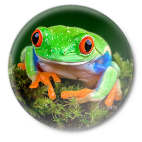 Значок с принтом Тропическая лягушка в Белгороде,  металл | круглая форма, металлическая застежка в виде булавки | зеленая лягушка | лягушка | тропики