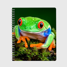 Тетрадь с принтом Тропическая лягушка в Белгороде, 100% бумага | 48 листов, плотность листов — 60 г/м2, плотность картонной обложки — 250 г/м2. Листы скреплены сбоку удобной пружинной спиралью. Уголки страниц и обложки скругленные. Цвет линий — светло-серый
 | Тематика изображения на принте: зеленая лягушка | лягушка | тропики