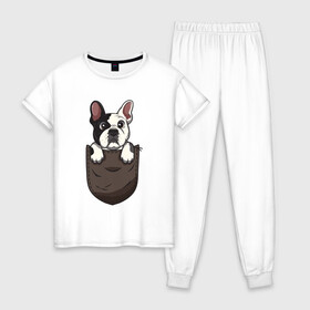 Женская пижама хлопок с принтом Карманный пёс в Белгороде, 100% хлопок | брюки и футболка прямого кроя, без карманов, на брюках мягкая резинка на поясе и по низу штанин | бульдог | дог | карман | пес | собака