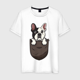 Мужская футболка хлопок с принтом Карманный пёс в Белгороде, 100% хлопок | прямой крой, круглый вырез горловины, длина до линии бедер, слегка спущенное плечо. | бульдог | дог | карман | пес | собака