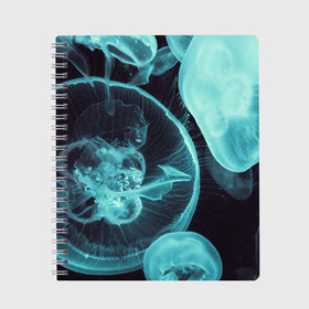 Тетрадь с принтом Медуза в Белгороде, 100% бумага | 48 листов, плотность листов — 60 г/м2, плотность картонной обложки — 250 г/м2. Листы скреплены сбоку удобной пружинной спиралью. Уголки страниц и обложки скругленные. Цвет линий — светло-серый
 | medusa | животные | медузы | мир | подводный | рыбы | щупальца