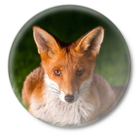 Значок с принтом Лисица в Белгороде,  металл | круглая форма, металлическая застежка в виде булавки | fox | foxy | животное | звери | лиса | лисенок | лисичка | милая | рыжая | фокс