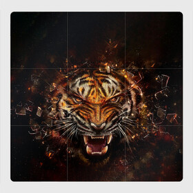 Магнитный плакат 3Х3 с принтом ЯРОСТЬ ТИГРА в Белгороде, Полимерный материал с магнитным слоем | 9 деталей размером 9*9 см | Тематика изображения на принте: animal | beast | cat | hunter | tiger | агрессия | брутальность | животные | звери | клыки | кошки | охотник | пасть | природа | рев | тигр | хищник | царь