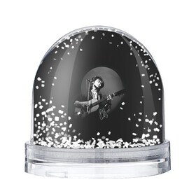 Игрушка Снежный шар с принтом Цой на концерте в Белгороде, Пластик | Изображение внутри шара печатается на глянцевой фотобумаге с двух сторон | Тематика изображения на принте: kino | rock | кино | музыкант | рок | русский рок | сой | тцой | цой