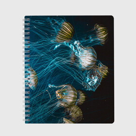 Тетрадь с принтом Медузы в Белгороде, 100% бумага | 48 листов, плотность листов — 60 г/м2, плотность картонной обложки — 250 г/м2. Листы скреплены сбоку удобной пружинной спиралью. Уголки страниц и обложки скругленные. Цвет линий — светло-серый
 | medusa | животные | медузы | мир | подводный | рыбы | щупальца