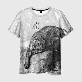 Мужская футболка 3D с принтом Тигр и змея в Белгороде, 100% полиэфир | прямой крой, круглый вырез горловины, длина до линии бедер | дикий.природа | животные | зверь | змея | иероглиф | кошка | надпись на японском | тигр