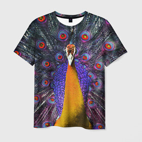 Мужская футболка 3D с принтом Павлин в Белгороде, 100% полиэфир | прямой крой, круглый вырез горловины, длина до линии бедер | peacock | peafowl | plumage | оперение | павлин