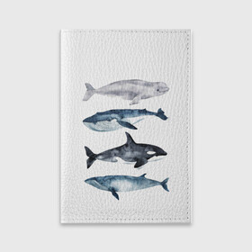 Обложка для паспорта матовая кожа с принтом киты в Белгороде, натуральная матовая кожа | размер 19,3 х 13,7 см; прозрачные пластиковые крепления | ocean | orca | sea | sea animal | whale | белуха | дельфин | касатка | кит | море | океан | рисунок кита | синий кит