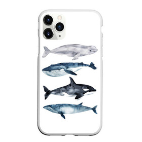 Чехол для iPhone 11 Pro матовый с принтом киты в Белгороде, Силикон |  | ocean | orca | sea | sea animal | whale | белуха | дельфин | касатка | кит | море | океан | рисунок кита | синий кит
