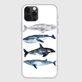 Чехол для iPhone 12 Pro Max с принтом киты в Белгороде, Силикон |  | ocean | orca | sea | sea animal | whale | белуха | дельфин | касатка | кит | море | океан | рисунок кита | синий кит