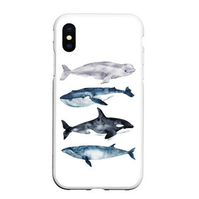 Чехол для iPhone XS Max матовый с принтом киты в Белгороде, Силикон | Область печати: задняя сторона чехла, без боковых панелей | ocean | orca | sea | sea animal | whale | белуха | дельфин | касатка | кит | море | океан | рисунок кита | синий кит