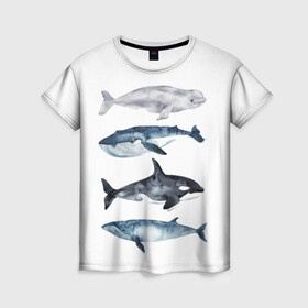 Женская футболка 3D с принтом киты в Белгороде, 100% полиэфир ( синтетическое хлопкоподобное полотно) | прямой крой, круглый вырез горловины, длина до линии бедер | ocean | orca | sea | sea animal | whale | белуха | дельфин | касатка | кит | море | океан | рисунок кита | синий кит