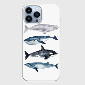 Чехол для iPhone 13 Pro Max с принтом киты в Белгороде,  |  | ocean | orca | sea | sea animal | whale | белуха | дельфин | касатка | кит | море | океан | рисунок кита | синий кит