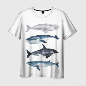 Мужская футболка 3D с принтом киты в Белгороде, 100% полиэфир | прямой крой, круглый вырез горловины, длина до линии бедер | ocean | orca | sea | sea animal | whale | белуха | дельфин | касатка | кит | море | океан | рисунок кита | синий кит