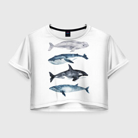 Женская футболка Crop-top 3D с принтом киты в Белгороде, 100% полиэстер | круглая горловина, длина футболки до линии талии, рукава с отворотами | ocean | orca | sea | sea animal | whale | белуха | дельфин | касатка | кит | море | океан | рисунок кита | синий кит