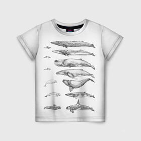 Детская футболка 3D с принтом киты графика в Белгороде, 100% гипоаллергенный полиэфир | прямой крой, круглый вырез горловины, длина до линии бедер, чуть спущенное плечо, ткань немного тянется | Тематика изображения на принте: ocean | orca | sea | sea animal | whale | графика | дельфин | касатка | кит | море | океан | плакат | рисунок кита