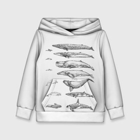 Детская толстовка 3D с принтом киты графика в Белгороде, 100% полиэстер | двухслойный капюшон со шнурком для регулировки, мягкие манжеты на рукавах и по низу толстовки, спереди карман-кенгуру с мягким внутренним слоем | ocean | orca | sea | sea animal | whale | графика | дельфин | касатка | кит | море | океан | плакат | рисунок кита