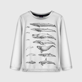 Детский лонгслив 3D с принтом киты графика в Белгороде, 100% полиэстер | длинные рукава, круглый вырез горловины, полуприлегающий силуэт
 | ocean | orca | sea | sea animal | whale | графика | дельфин | касатка | кит | море | океан | плакат | рисунок кита