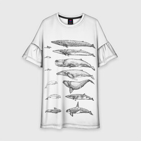Детское платье 3D с принтом киты графика в Белгороде, 100% полиэстер | прямой силуэт, чуть расширенный к низу. Круглая горловина, на рукавах — воланы | ocean | orca | sea | sea animal | whale | графика | дельфин | касатка | кит | море | океан | плакат | рисунок кита