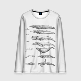 Мужской лонгслив 3D с принтом киты графика в Белгороде, 100% полиэстер | длинные рукава, круглый вырез горловины, полуприлегающий силуэт | ocean | orca | sea | sea animal | whale | графика | дельфин | касатка | кит | море | океан | плакат | рисунок кита