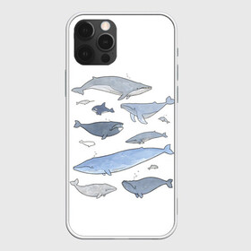 Чехол для iPhone 12 Pro Max с принтом киты в Белгороде, Силикон |  | ocean | orca | sea | sea animal | whale | графика | дельфин | иллюстрация | касатка | кит | море | океан | рисунок кита