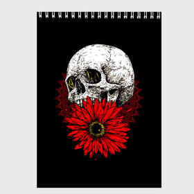 Скетчбук с принтом Череп и Красный Цветок Skull в Белгороде, 100% бумага
 | 48 листов, плотность листов — 100 г/м2, плотность картонной обложки — 250 г/м2. Листы скреплены сверху удобной пружинной спиралью | Тематика изображения на принте: flowers | head | skulls | букет | голова | животные | кости | мозги | паттерн | полосы | природа | розы | скелет | текстура | узор | флора | хо | цветы | черепа | черный | яркий