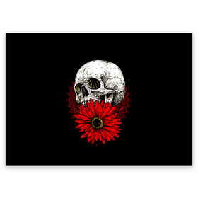 Поздравительная открытка с принтом Череп и Красный Цветок Skull в Белгороде, 100% бумага | плотность бумаги 280 г/м2, матовая, на обратной стороне линовка и место для марки
 | Тематика изображения на принте: flowers | head | skulls | букет | голова | животные | кости | мозги | паттерн | полосы | природа | розы | скелет | текстура | узор | флора | хо | цветы | черепа | черный | яркий