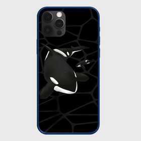 Чехол для iPhone 12 Pro с принтом Косатки в Белгороде, силикон | область печати: задняя сторона чехла, без боковых панелей | Тематика изображения на принте: whale | кит | косатка | косатки | морские
