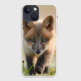 Чехол для iPhone 13 mini с принтом Лисичка в Белгороде,  |  | fox | foxy | животное | звери | лиса | лисенок | лисичка | милая | рыжая | фокс