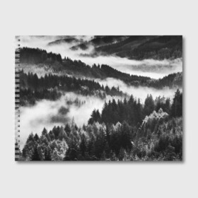 Альбом для рисования с принтом ТУМАННЫЙ ЛЕС  МРАЧНЫЙ ЛЕС в Белгороде, 100% бумага
 | матовая бумага, плотность 200 мг. | tegunvteg | деревья | ели | лес | мрачный | природа | туман | туманный