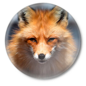 Значок с принтом Хитрая лисица в Белгороде,  металл | круглая форма, металлическая застежка в виде булавки | fox | foxy | животное | звери | лиса | лисенок | лисичка | милая | рыжая | фокс