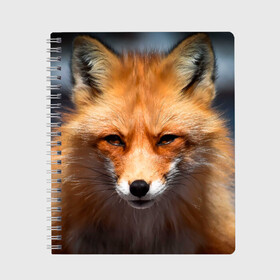 Тетрадь с принтом Хитрая лисица в Белгороде, 100% бумага | 48 листов, плотность листов — 60 г/м2, плотность картонной обложки — 250 г/м2. Листы скреплены сбоку удобной пружинной спиралью. Уголки страниц и обложки скругленные. Цвет линий — светло-серый
 | fox | foxy | животное | звери | лиса | лисенок | лисичка | милая | рыжая | фокс