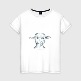 Женская футболка хлопок с принтом Овечка в Белгороде, 100% хлопок | прямой крой, круглый вырез горловины, длина до линии бедер, слегка спущенное плечо | арт | белая | белое животное | овечка | овца | пушистая | пушистик | пушистое животное | рисунок | ушки
