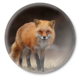 Значок с принтом Хитрая лисица в Белгороде,  металл | круглая форма, металлическая застежка в виде булавки | fox | foxy | животное | звери | лиса | лисенок | лисичка | милая | рыжая | фокс
