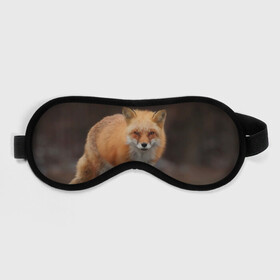 Маска для сна 3D с принтом Хитрая лисица в Белгороде, внешний слой — 100% полиэфир, внутренний слой — 100% хлопок, между ними — поролон |  | fox | foxy | животное | звери | лиса | лисенок | лисичка | милая | рыжая | фокс