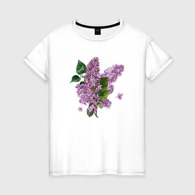 Женская футболка хлопок с принтом СИРЕНЬ АКВАРЕЛЬЮ в Белгороде, 100% хлопок | прямой крой, круглый вырез горловины, длина до линии бедер, слегка спущенное плечо | акварель | акварельные | акварелью | бабочки | букет | букет из цветов | летние цветы | сиреневые цветы | сирень | цветы