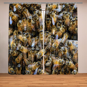 Фотошторы с принтом Пчёлы в Белгороде, Блэкаут (светозащита 90%) / Габардин (светозащита 40% | 2 полотна шириной по 145 см; Высота 200-300 см; Крепление: шторная лента (на крючки); | живность | животное | животные | насекомое | насекомые | пчела | пчёлка | пчёлки | пчёлы